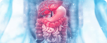Digestive & Stomach Surgery